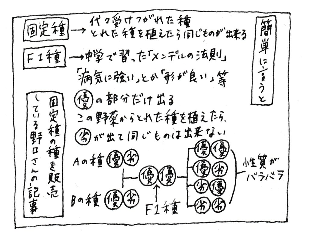簡単に言うと
[固定種]代々受け継がれた種
とれた種を植えたら同じものが出来る
[F1種]中学で習った「メンデルの法則」
「病気に強い」とか「形が良い」など【優】の部分だけが出る
この野菜からとれた種を植えたら【劣】が出て同じものは出来ない
固定種の種を販売している野口さんの記事