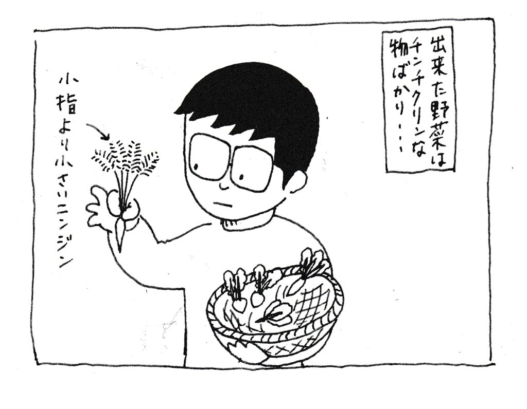 出来た野菜はチンチクリンな物ばかり・・・
(小指より小さいニンジン)