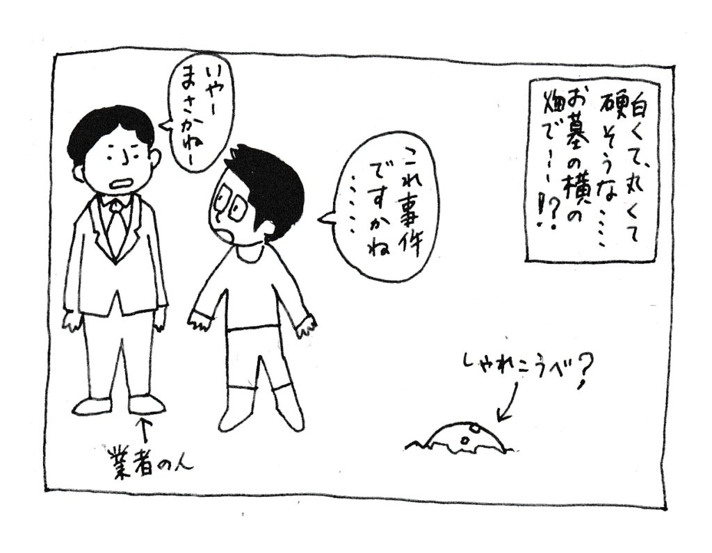 白くて丸くて硬そうな・・・
お墓の横の畑で・・・！？
「これ事件ですかね・・・？」
「まさかね～」
(しゃれこうべ？)