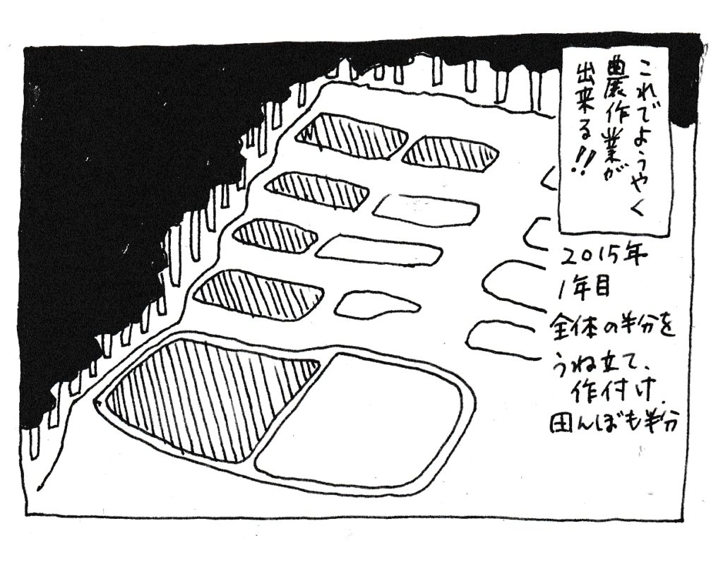 これでようやく農作業が出来る！！
2015年
1年目
全体の半分を畝立て、作付け
田んぼも半分