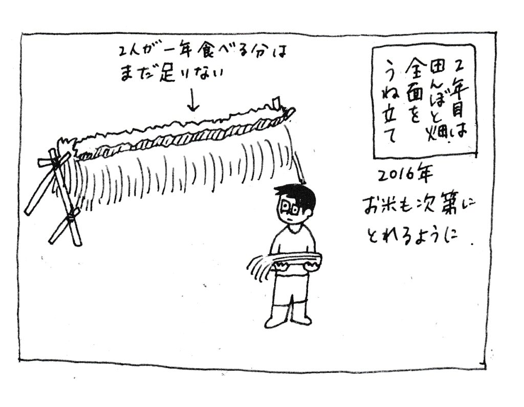 二年目は田んぼと畑全面を畝立て
2016年
お米も次第にとれるように
(二人が1年食べる分はまだ足りない)