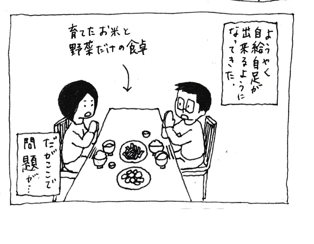 ようやく自給自足が出来るようになってきた
(育てた野菜だけの食卓)
だがここで問題が・・・