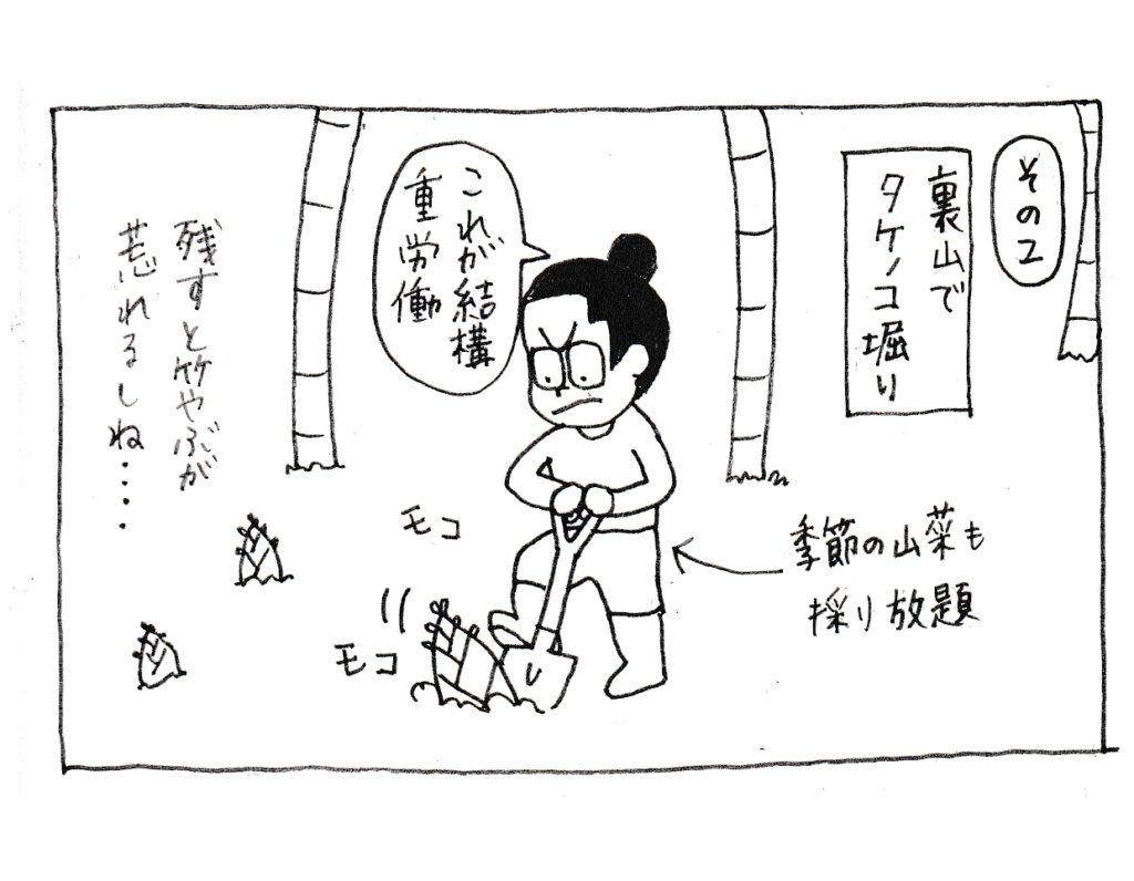その2
裏山でタケノコ掘り
「これが結構重労働」
季節の山菜も採り放題
残すと竹やぶが荒れるしね